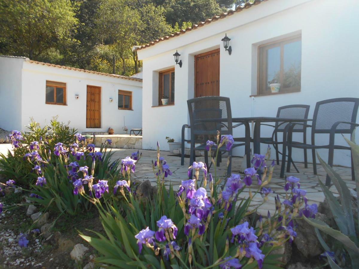 La Casita, Zagra Villa La Carrera de la Viña Kültér fotó